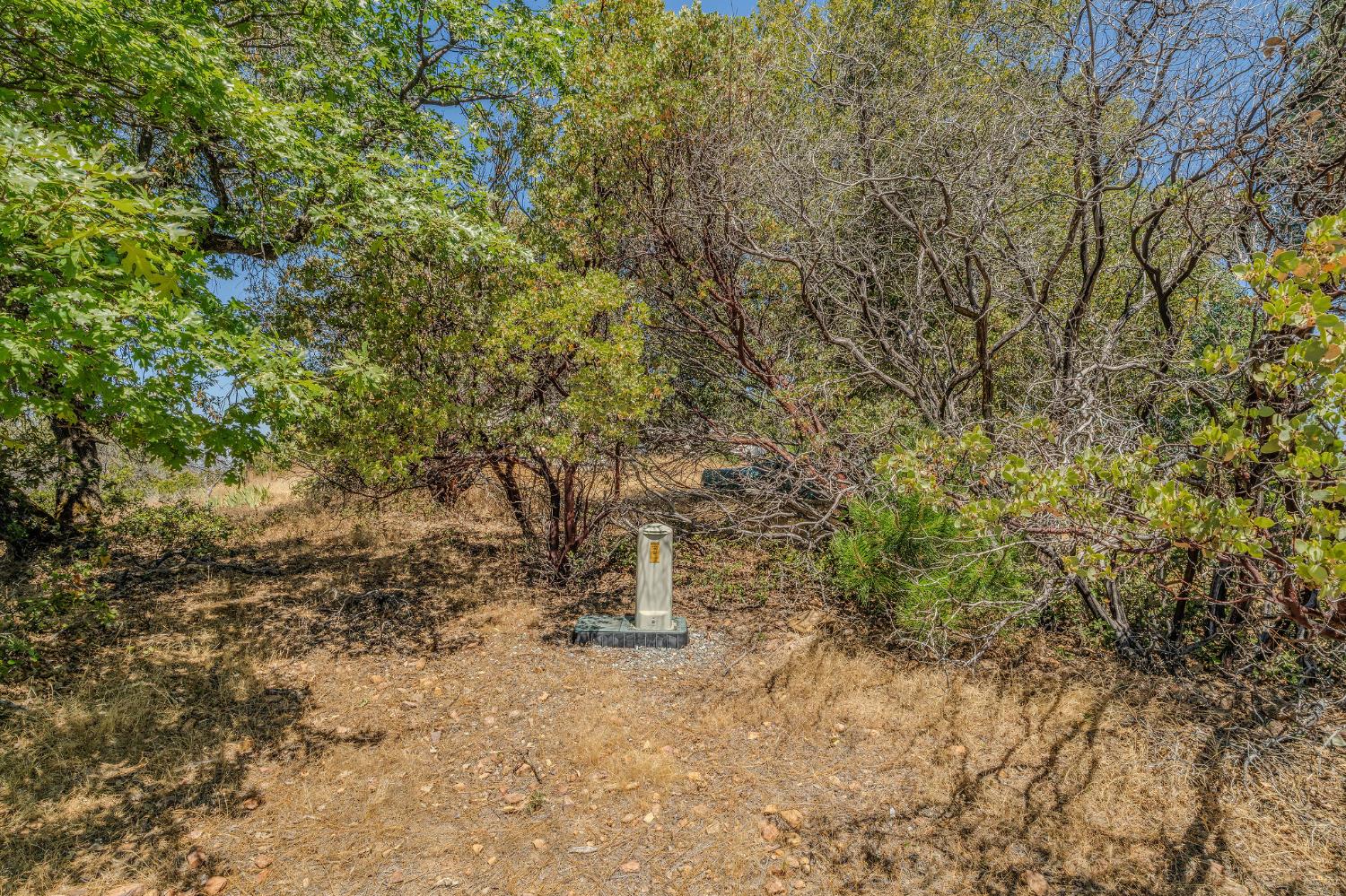 20117 Neilson Road Pine Grove, CA 95665 - Photo 14 of 32 a view of a yard with a tree