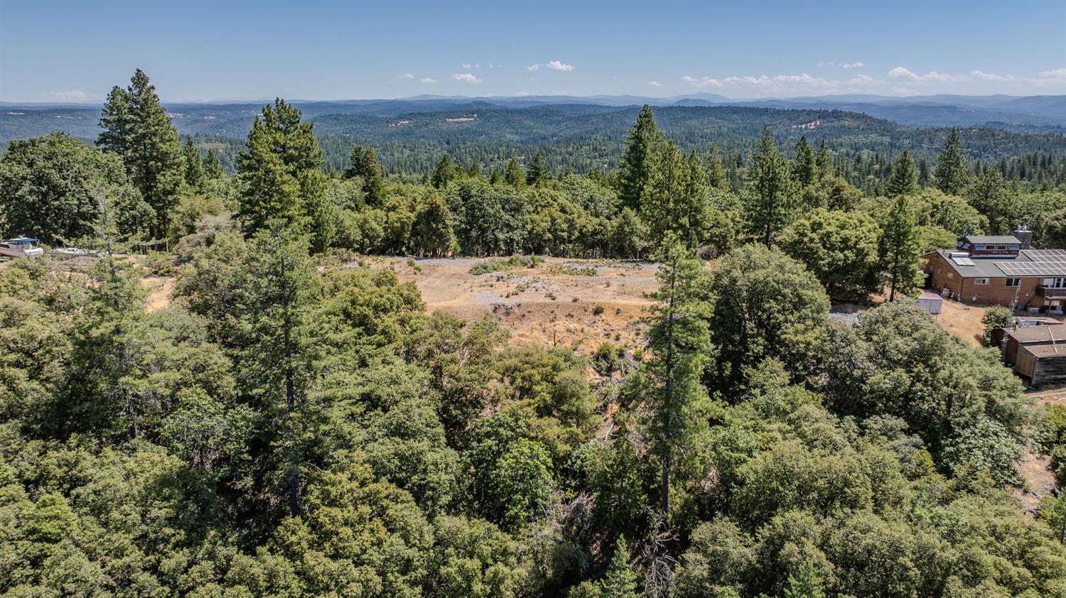 20117 Neilson Road Pine Grove, CA 95665 - Photo 17 of 32 a view of a green yard with large trees