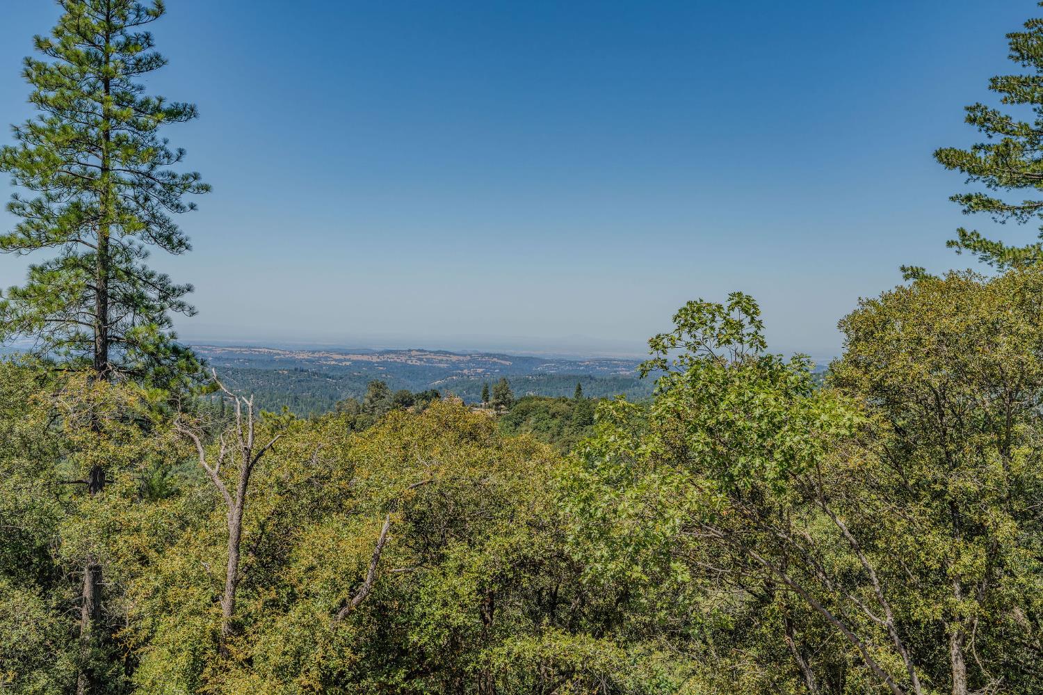 20117 Neilson Road Pine Grove, CA 95665 - Photo 2 of 32 a view of a bunch of flowers and trees