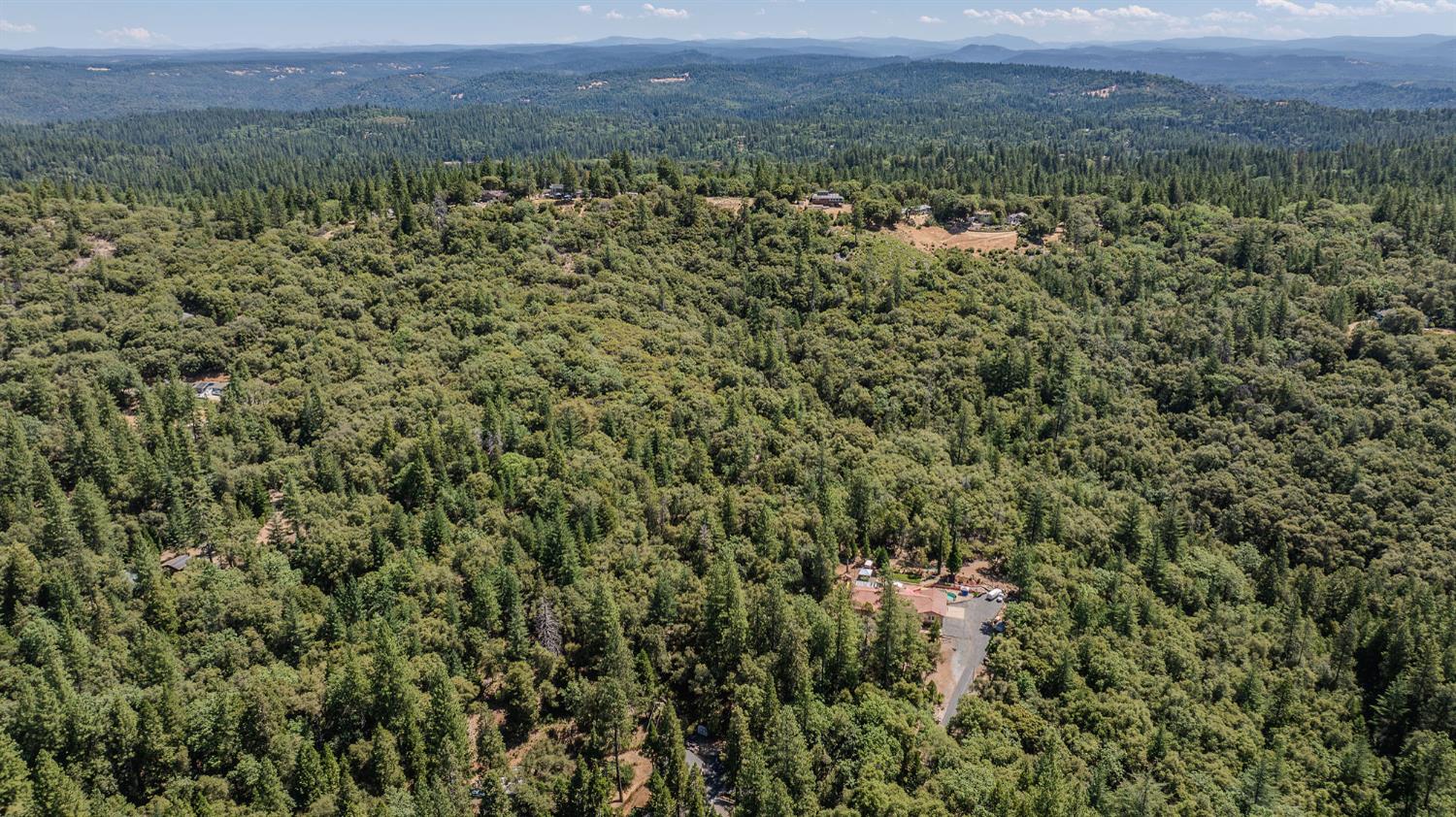 20117 Neilson Road Pine Grove, CA 95665 - Photo 21 of 32 a view of a big yard with lots of green space