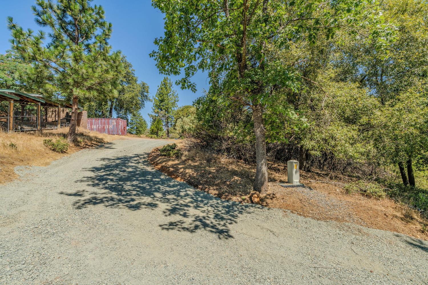 20117 Neilson Road Pine Grove, CA 95665 - Photo 3 of 32 a view of a dirt road with trees in the background