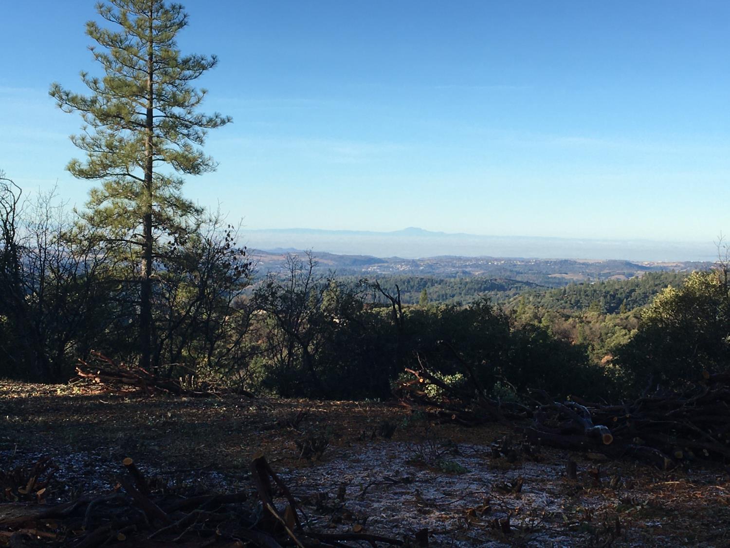 20117 Neilson Road Pine Grove, CA 95665 - Photo 32 of 32 a view of a yard with a tree