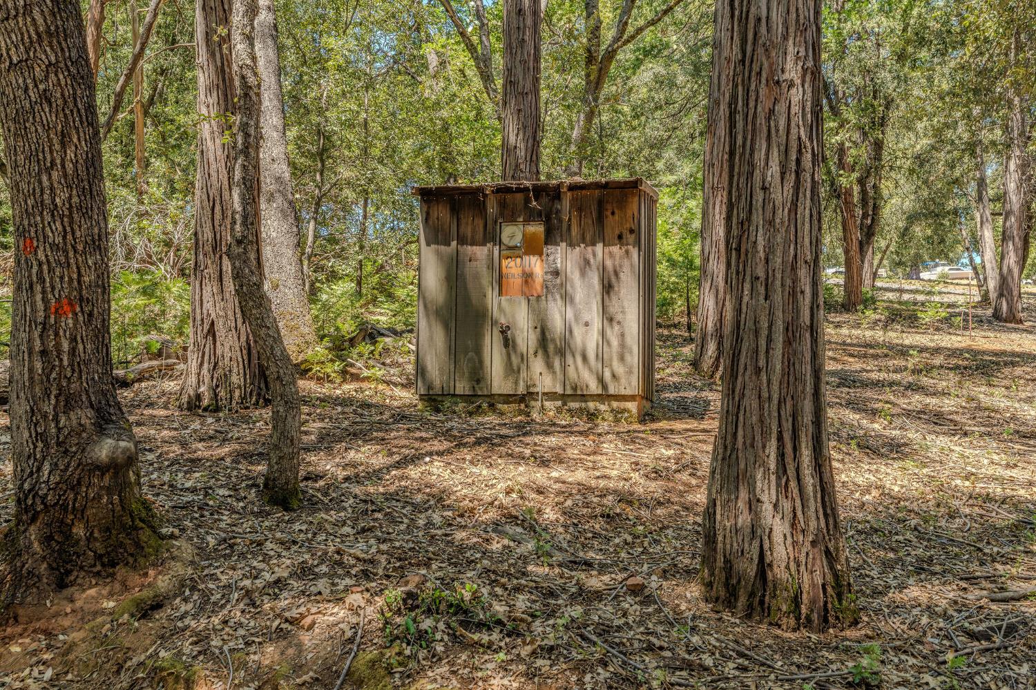 20117 Neilson Road Pine Grove, CA 95665 - Photo 4 of 32 a view of a backyard