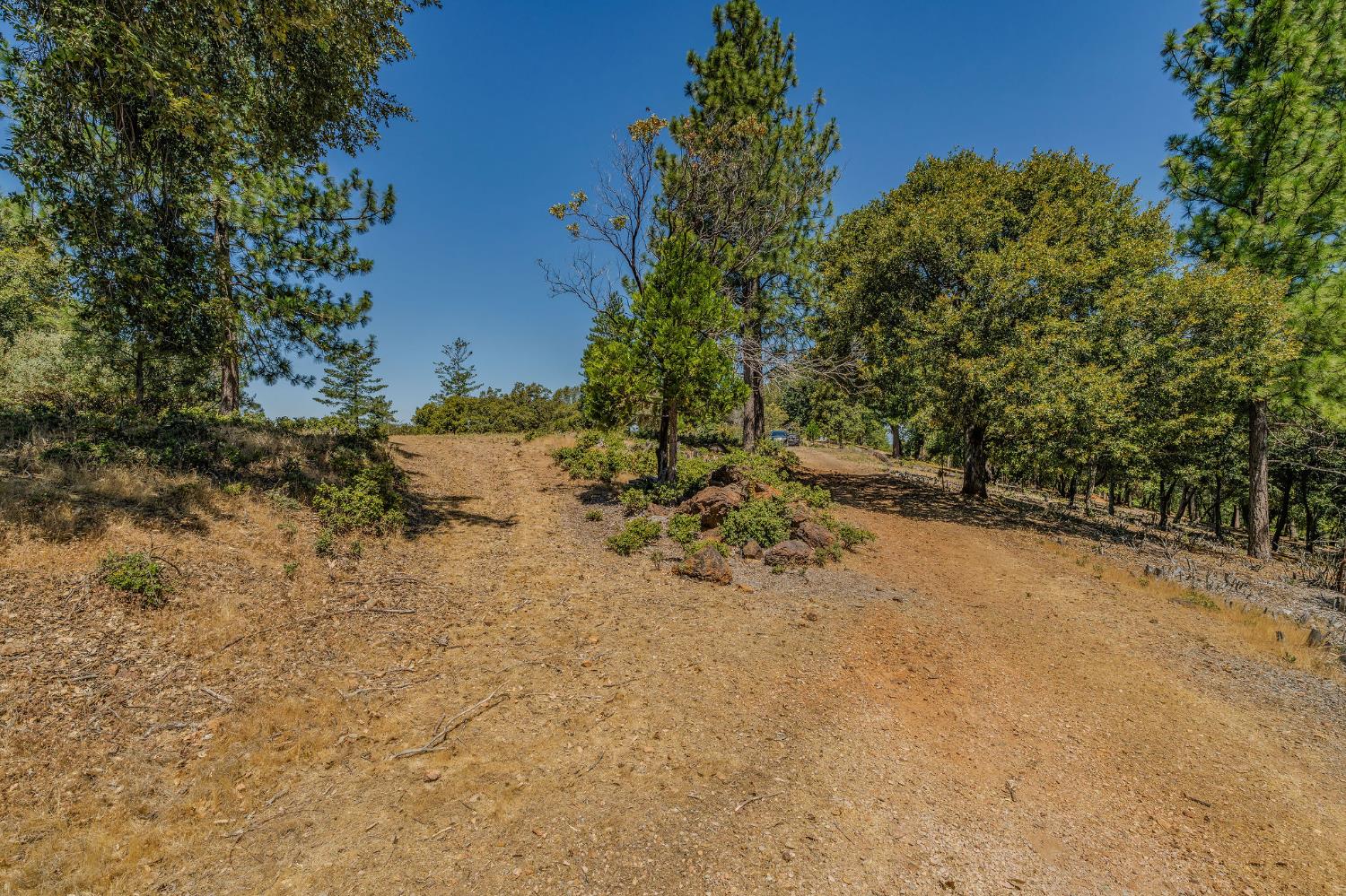 20117 Neilson Road Pine Grove, CA 95665 - Photo 5 of 32 a view of a yard with trees