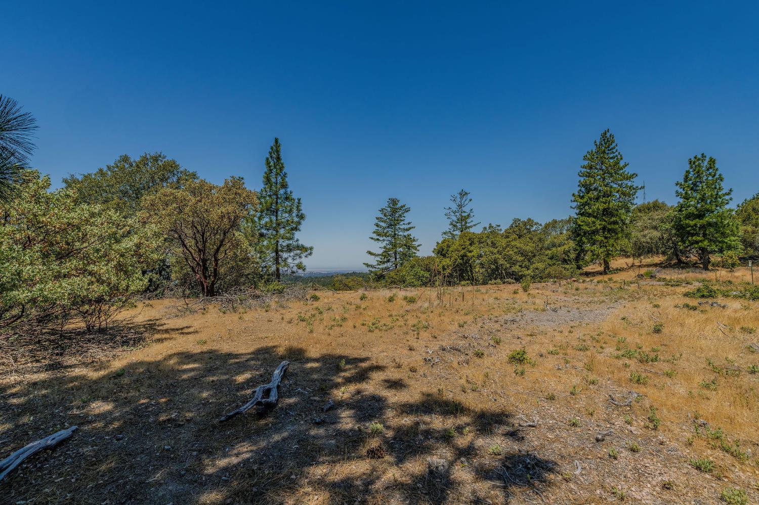 20117 Neilson Road Pine Grove, CA 95665 - Photo 7 of 32 a view of a dry yard with trees in the background