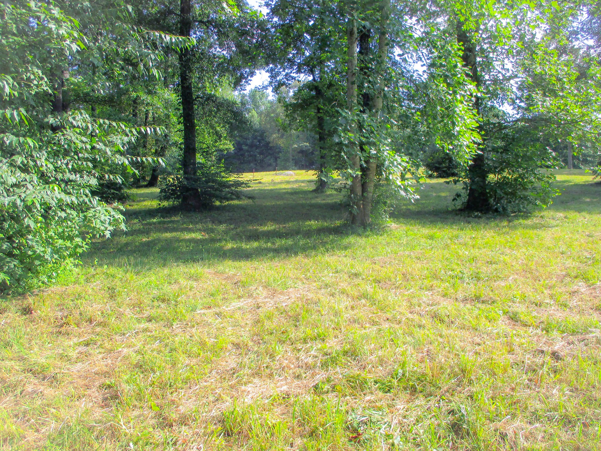 0 Spring Meadows Lane Morrison, TN 37357 - Photo 1 of 14