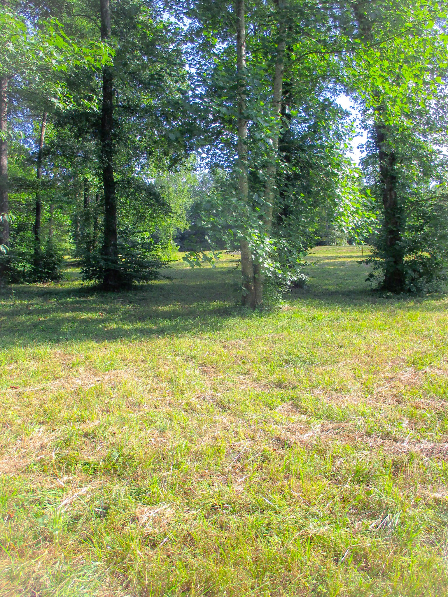 0 Spring Meadows Lane Morrison, TN 37357 - Photo 2 of 14 a view of a ocean view