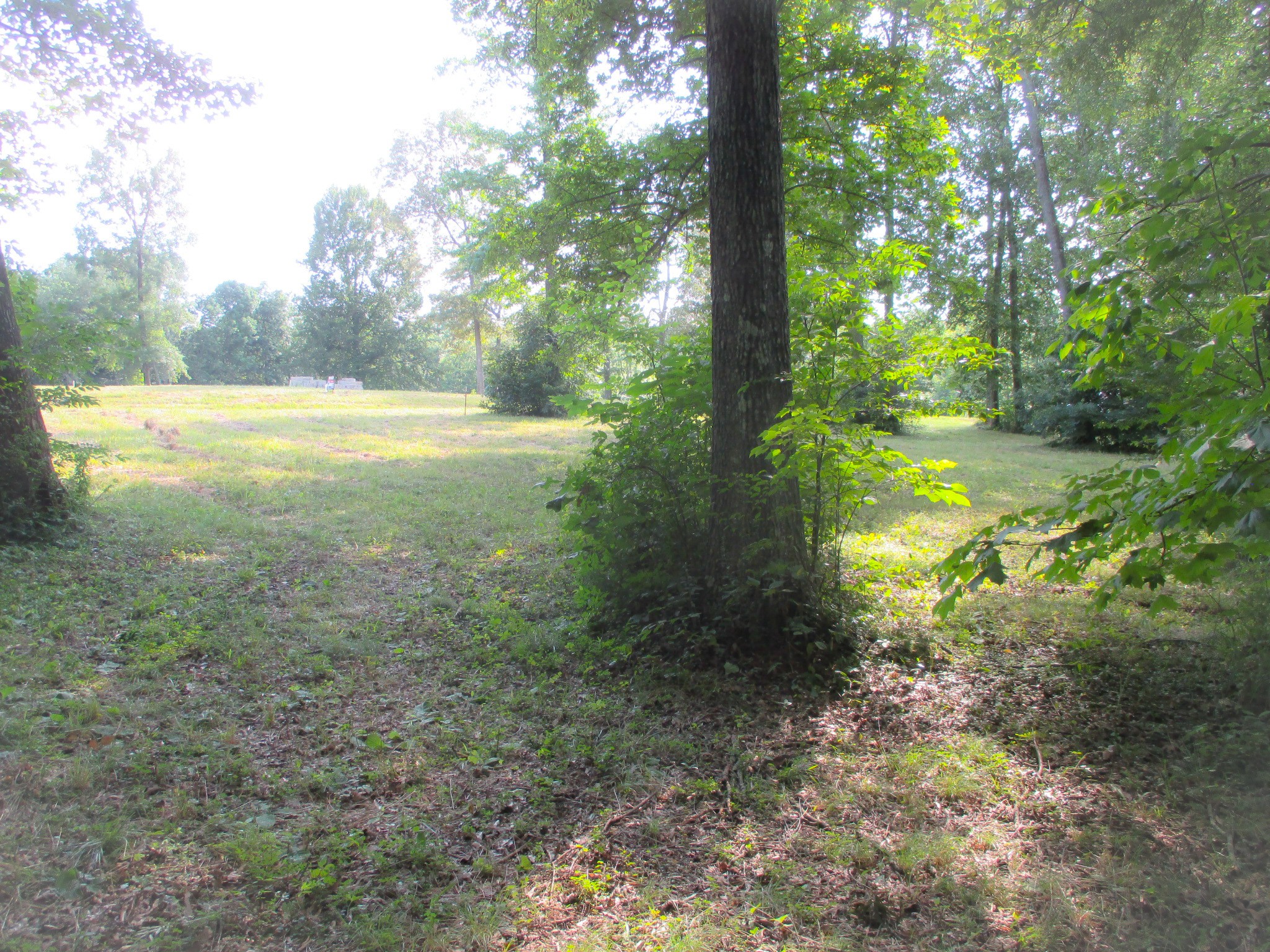 0 Spring Meadows Lane Morrison, TN 37357 - Photo 3 of 14 a view of outdoor space with trees all around