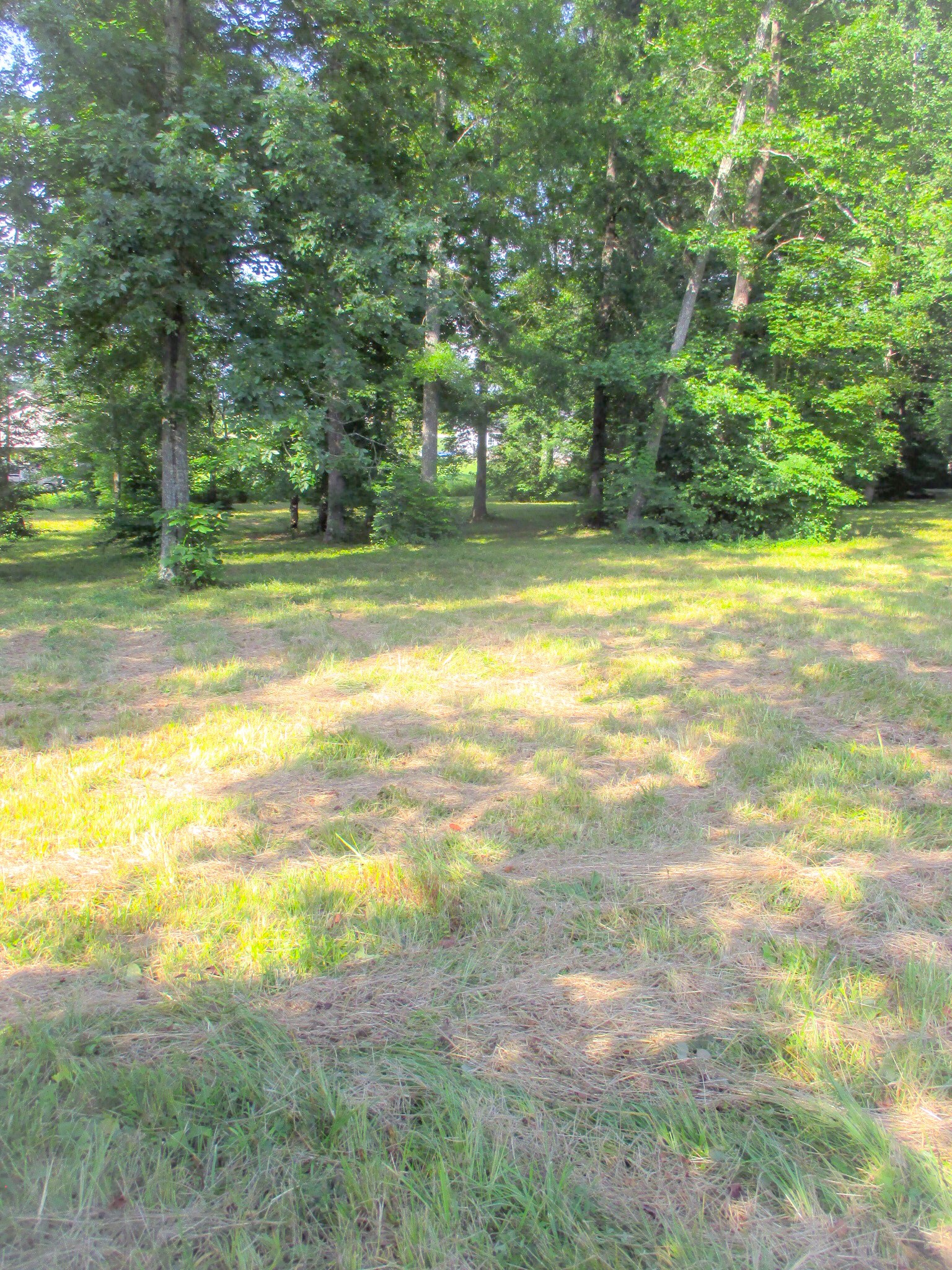 0 Spring Meadows Lane Morrison, TN 37357 - Photo 5 of 14 a view of a yard with a trees