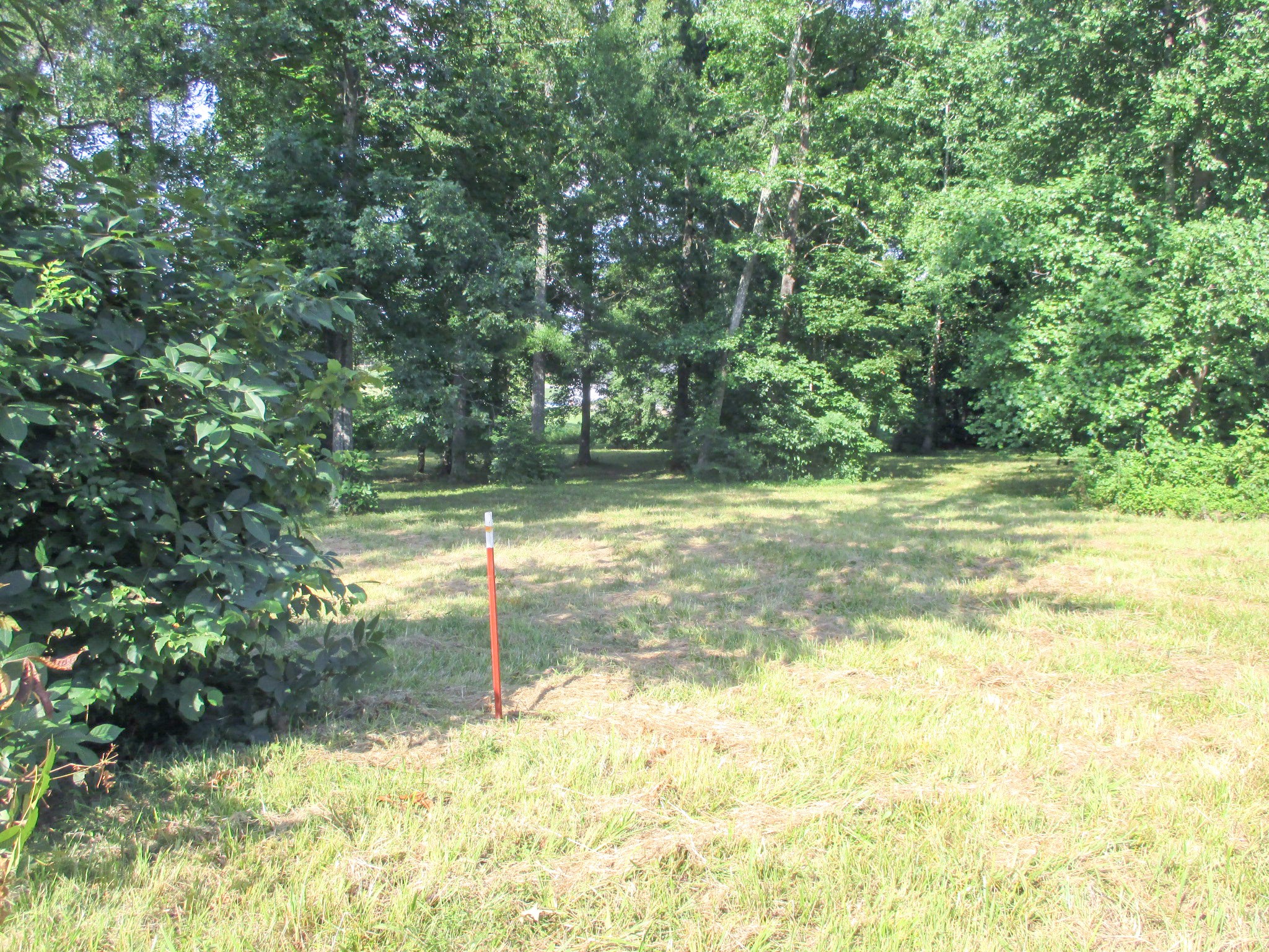 0 Spring Meadows Lane Morrison, TN 37357 - Photo 10 of 14 a view of a trees with a yard