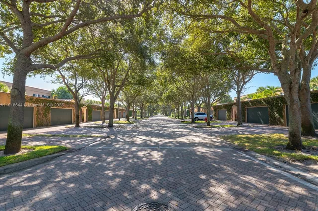a view of a yard with a tree