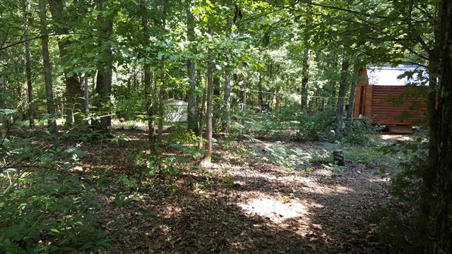 44 Genson Road Lawrenceburg, TN 38464 - Photo 6 of 16 Gallery Image 6