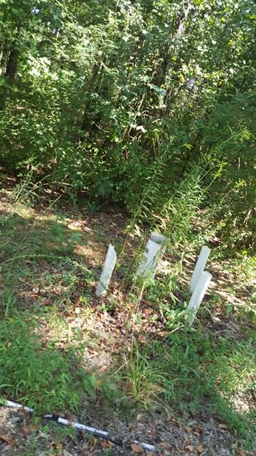 44 Genson Road Lawrenceburg, TN 38464 - Photo 8 of 16 Gallery Image 8