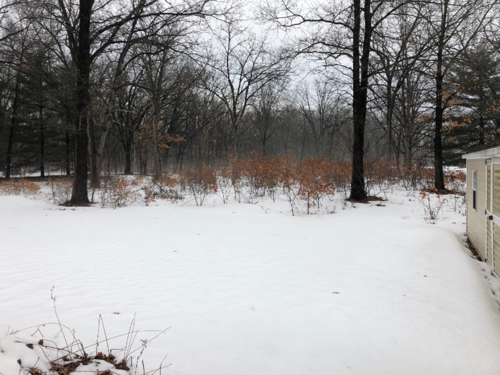 1908 South Maple Island Road Muskegon, MI 49442 - Photo 2 of 18 2