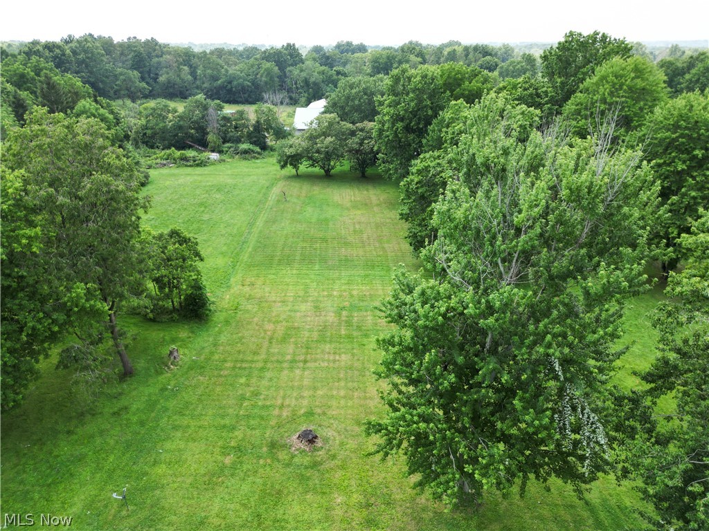6324 Struthers Road Youngstown, OH 44514 - Photo 15 of 42 Expansive green lawn surrounded by mature trees, featuring a distant white structure