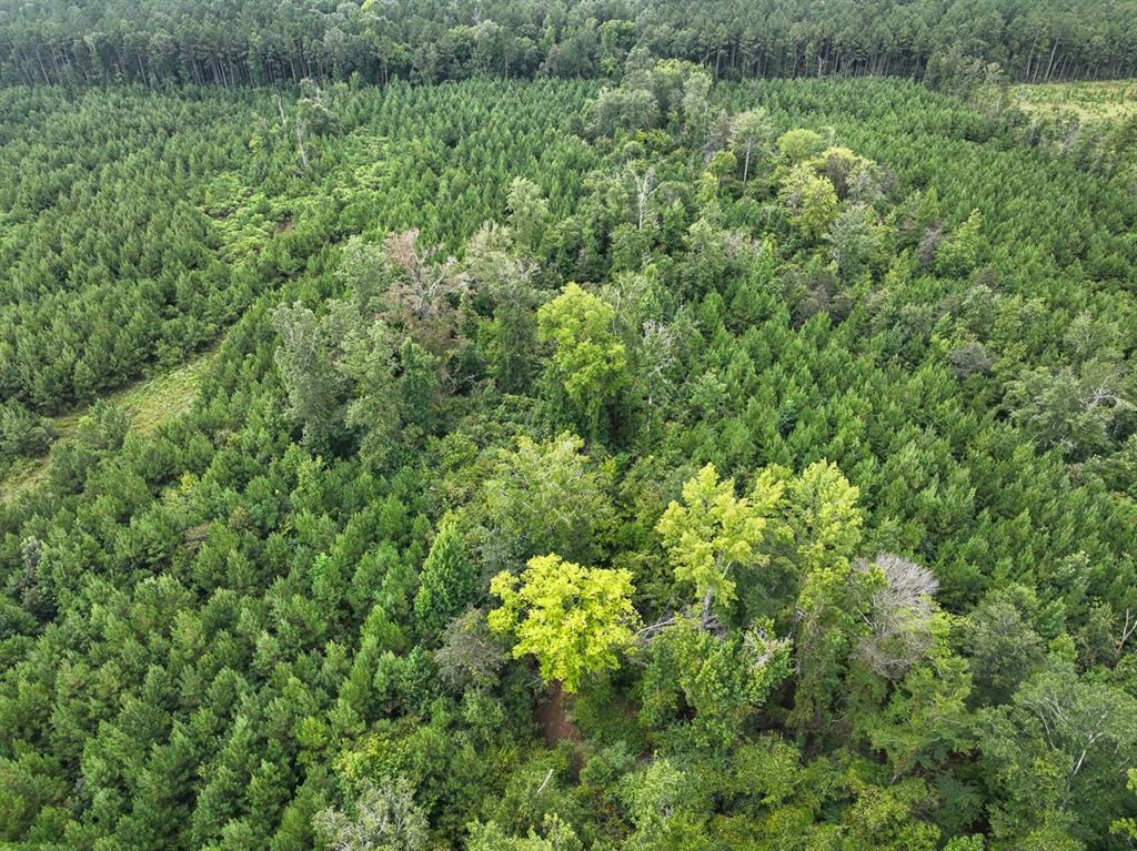 Aerial view of property and surrounding area featuring a heavily wooded area