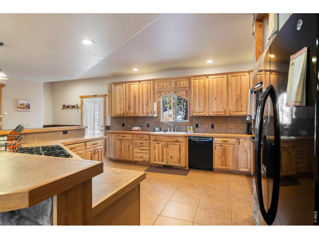 412 Evergreen Road Black Hawk, CO 80422 - Photo 13 of 41