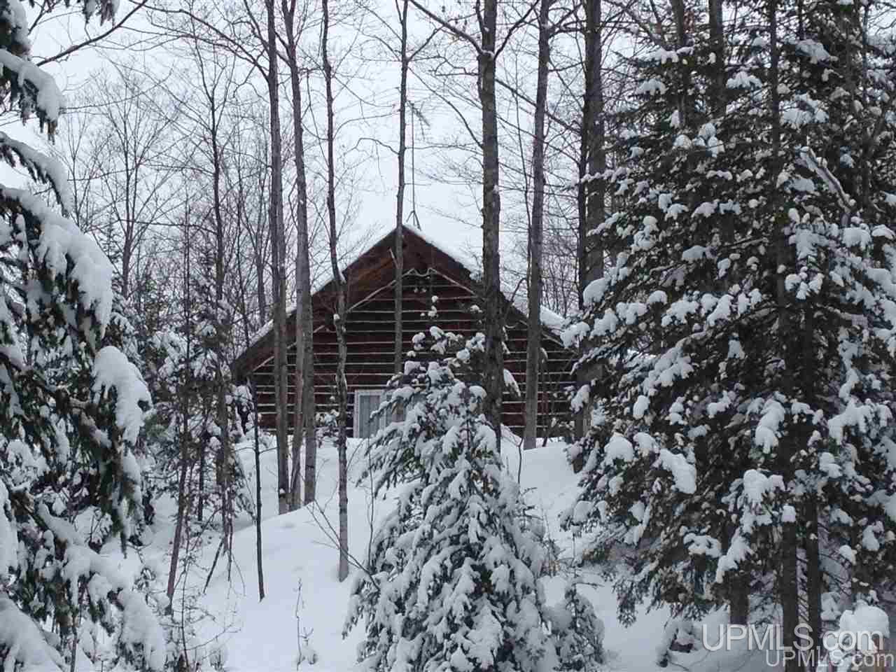 W2189 Co Road Bark River, MI 49807 - Photo 20 of 22 Gallery Image 20