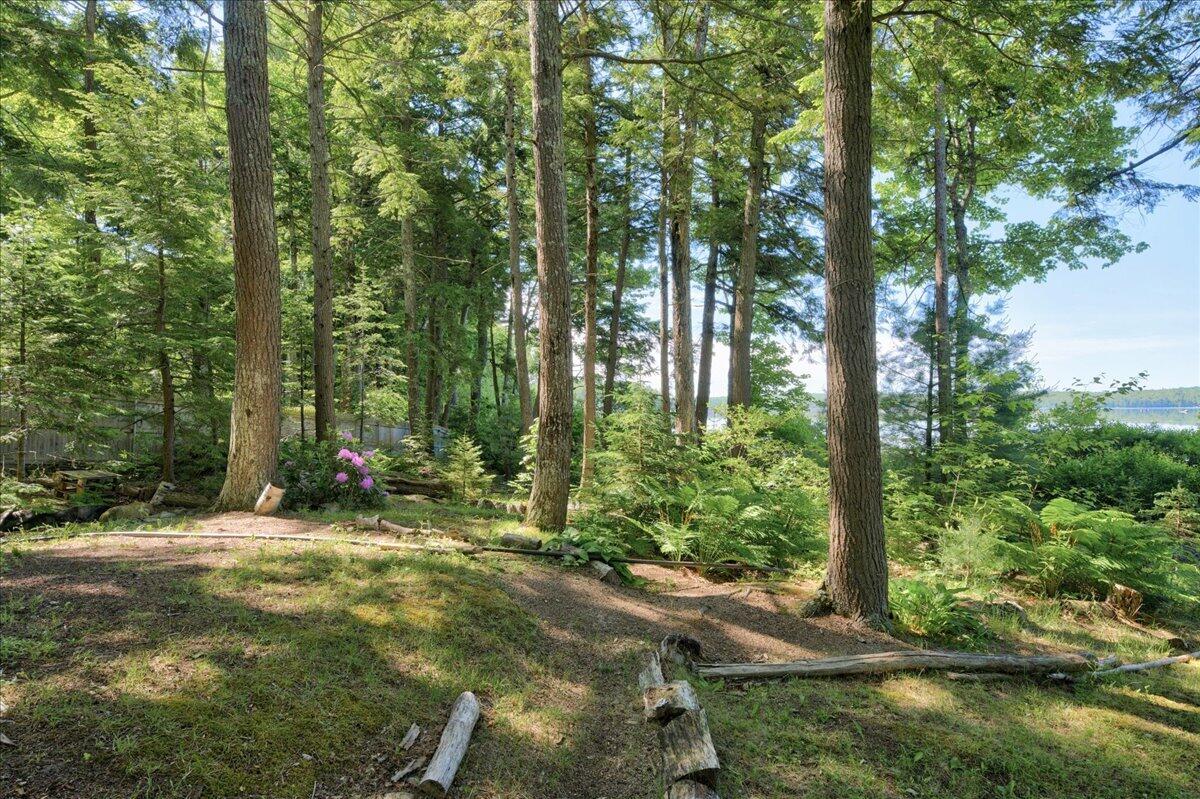 535 Green Lake Road Dedham, ME 04429 - Photo 107 of 129 40-535 Green Lake Rd-22