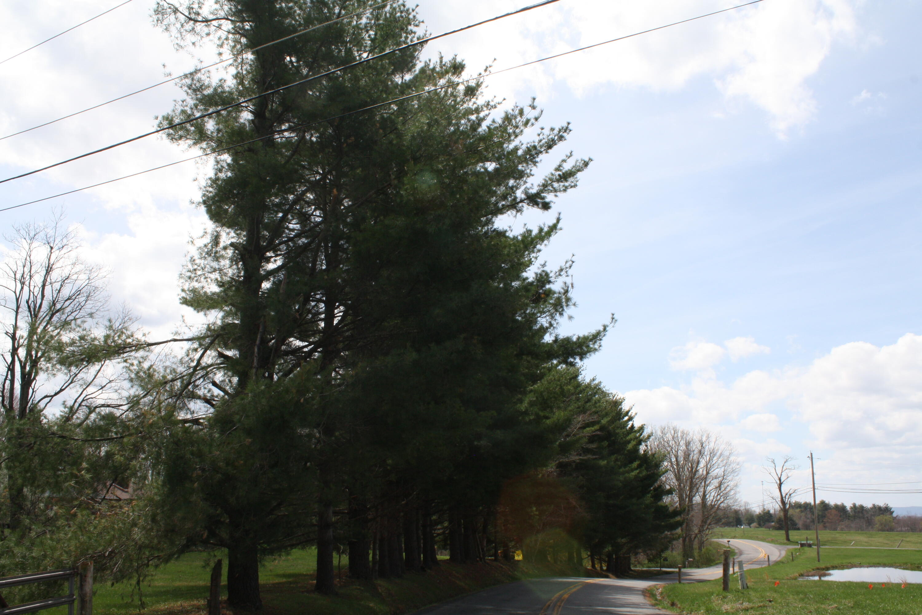 4284 Elk Knob Road Hinton, WV 25951 - Photo 45 of 61 Gallery Image 45