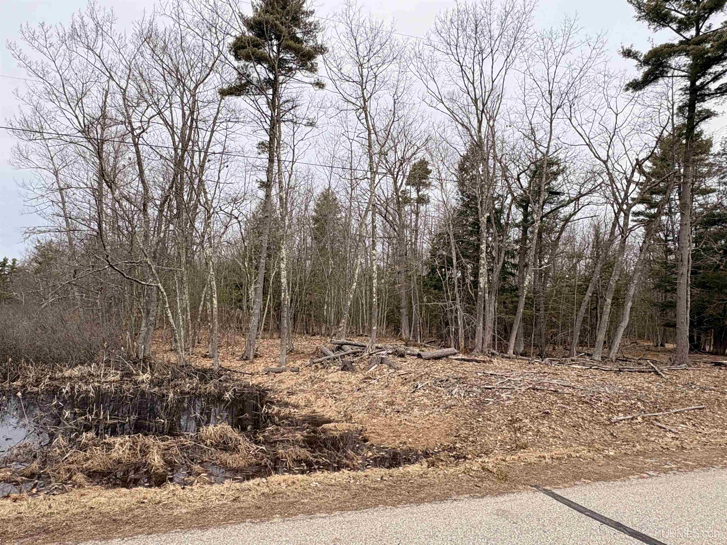 Tbd Ll Road Rapid River, MI 49878 - Photo 4 of 9