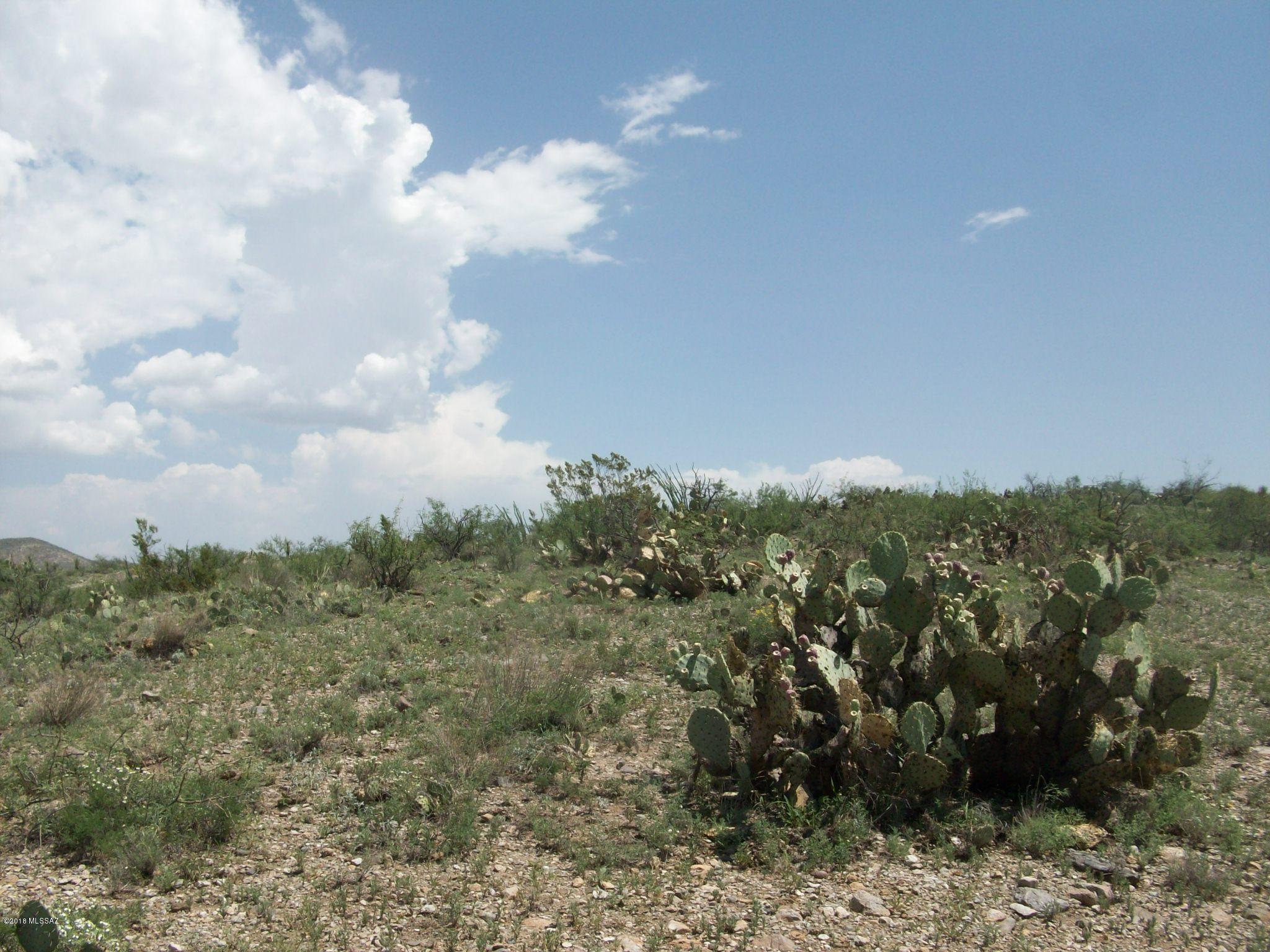 13550 South Bell Road Benson, AZ 85602 - Photo 2 of 8 Gallery Image 2