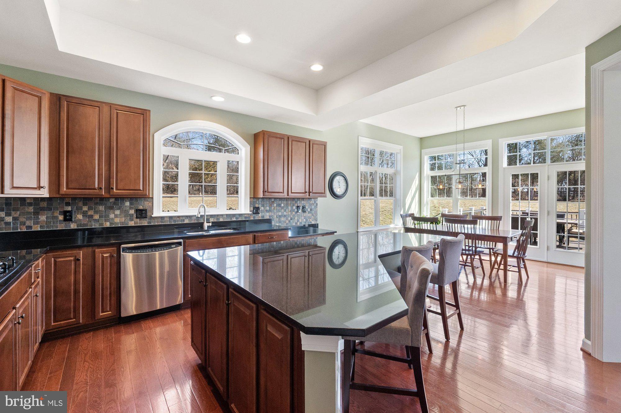 20878 Le Notre Place Leesburg, VA 20175 - Photo 4 of 88 Gallery Image 4