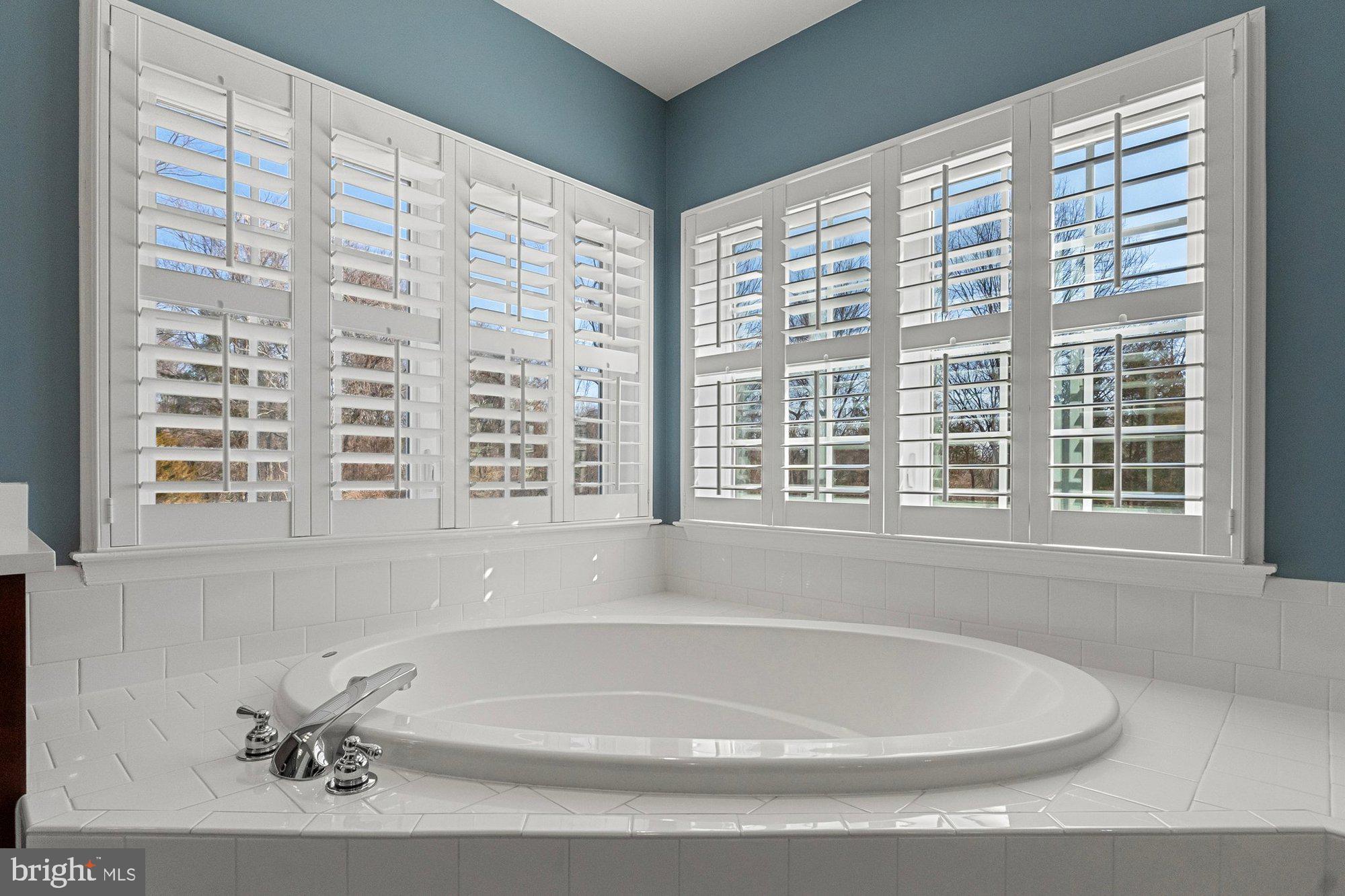 20878 Le Notre Place Leesburg, VA 20175 - Photo 42 of 88 Gallery Image 42