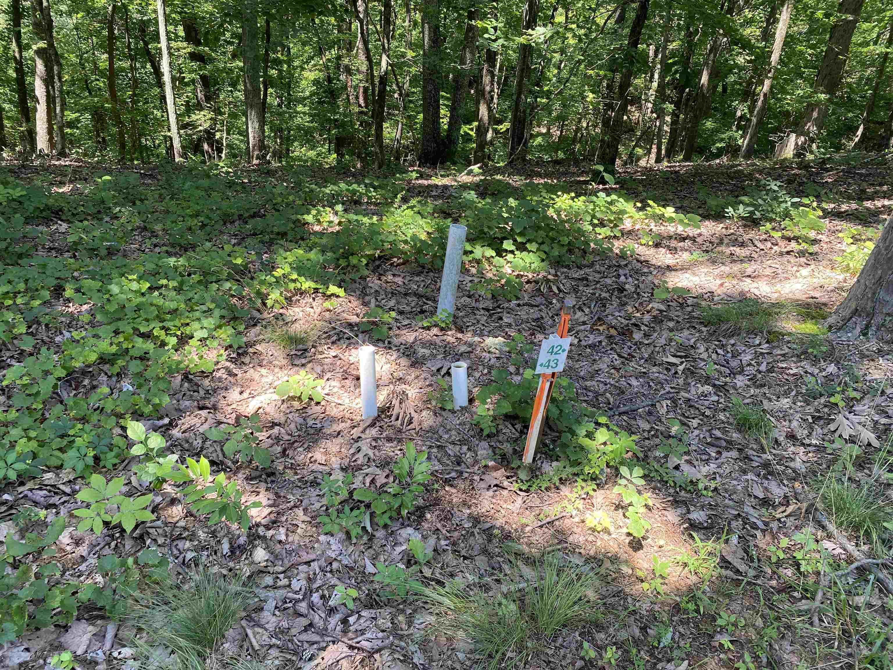 43 Breathtaking Loop Savannah, TN 38372 - Photo 16 of 21 a backyard of a house with lots of green space