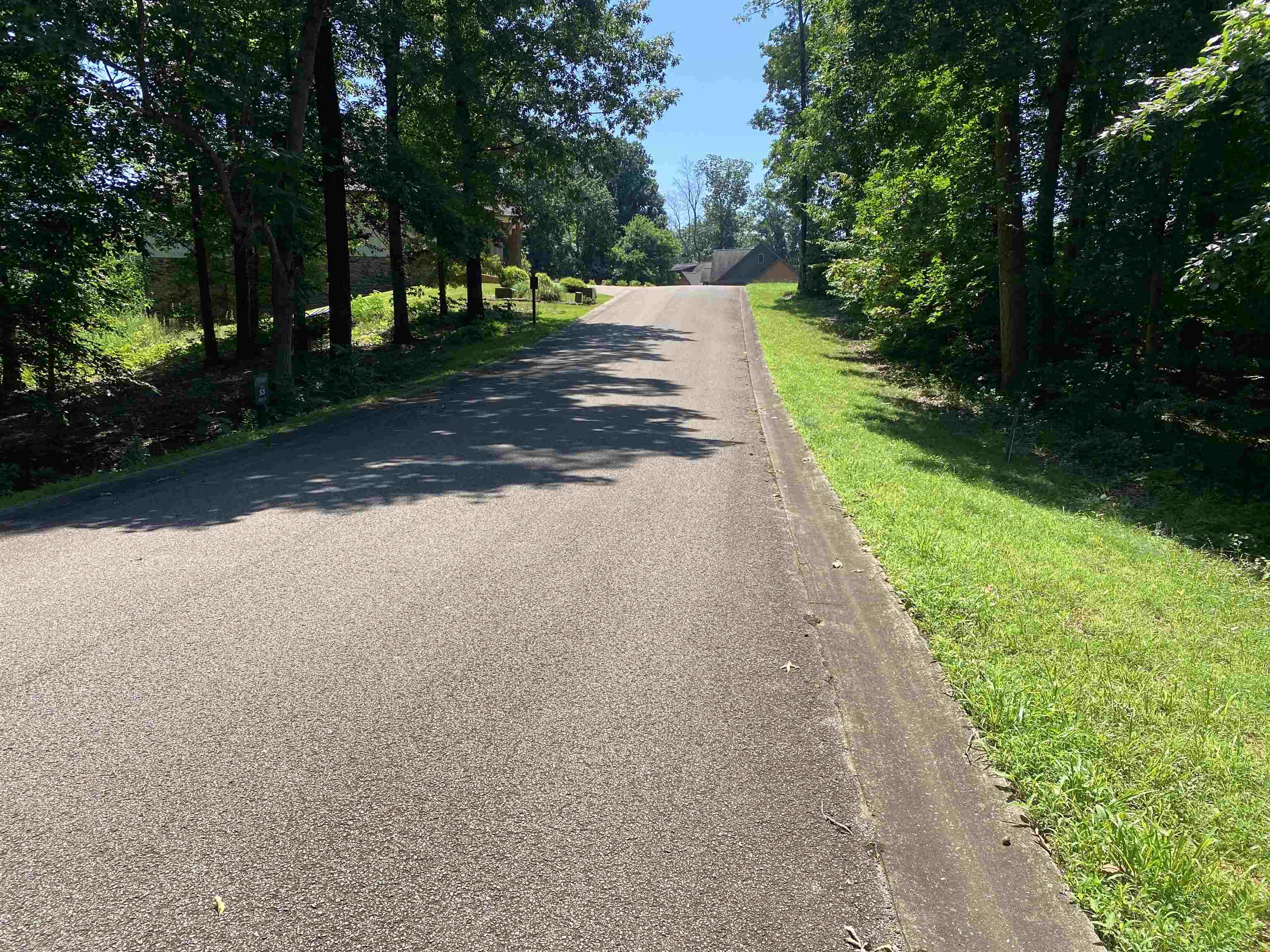 43 Breathtaking Loop Savannah, TN 38372 - Photo 8 of 21 a view of a street with trees on both side of the road