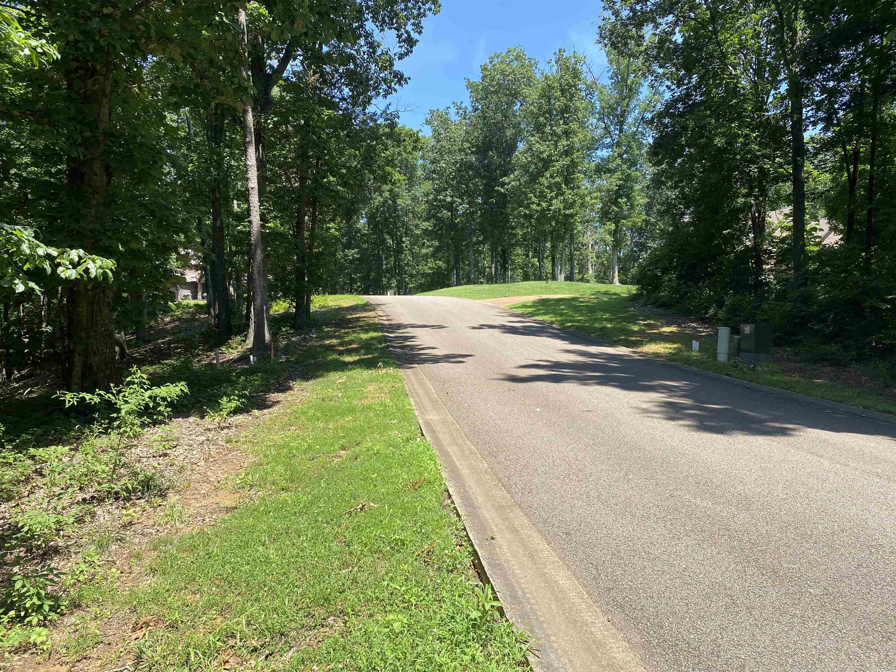 43 Breathtaking Loop Savannah, TN 38372 - Photo 9 of 21 a view of a yard with large trees