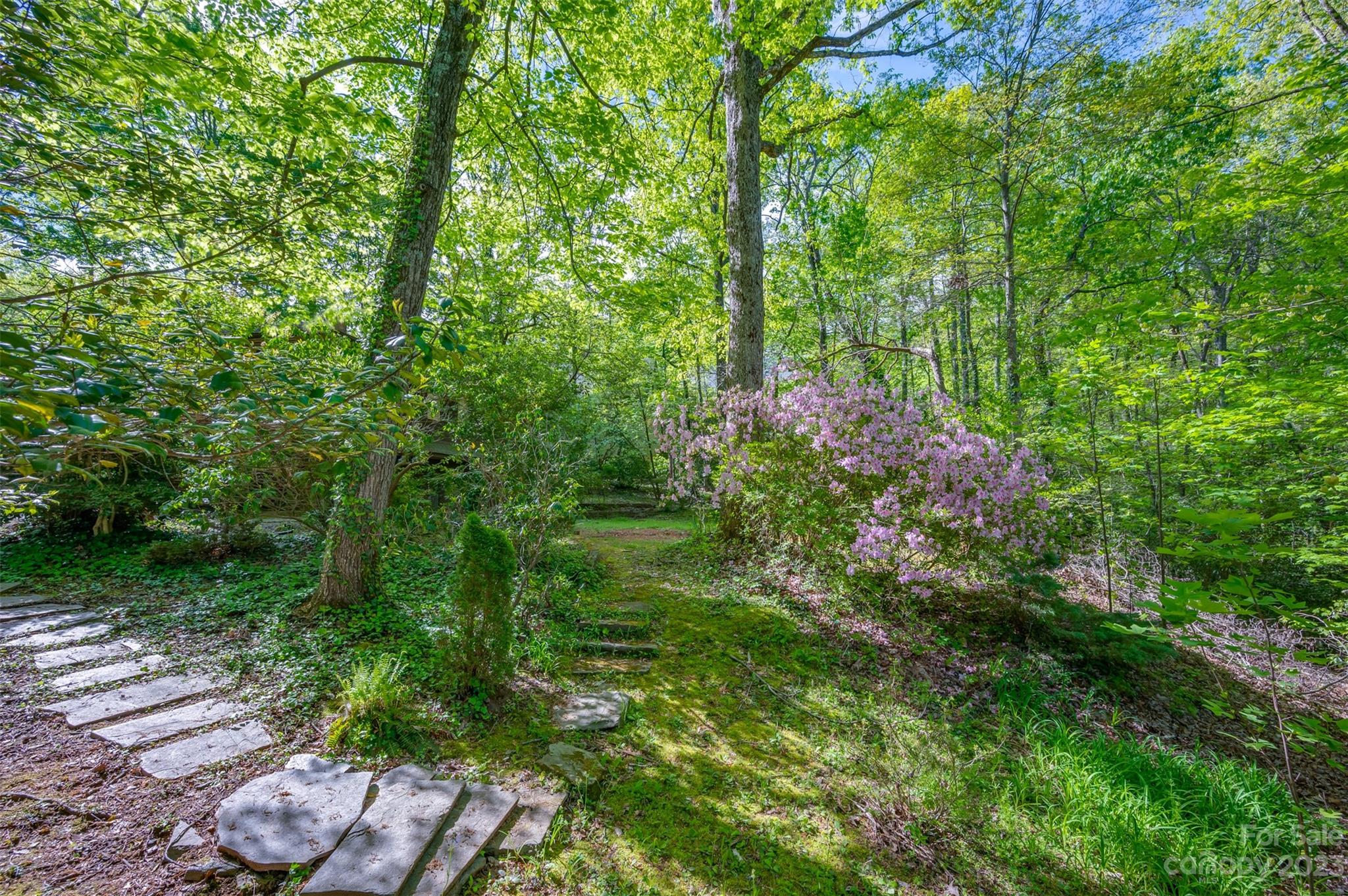 750 Braewick Road Tryon, NC 28782 - Photo 30 of 48