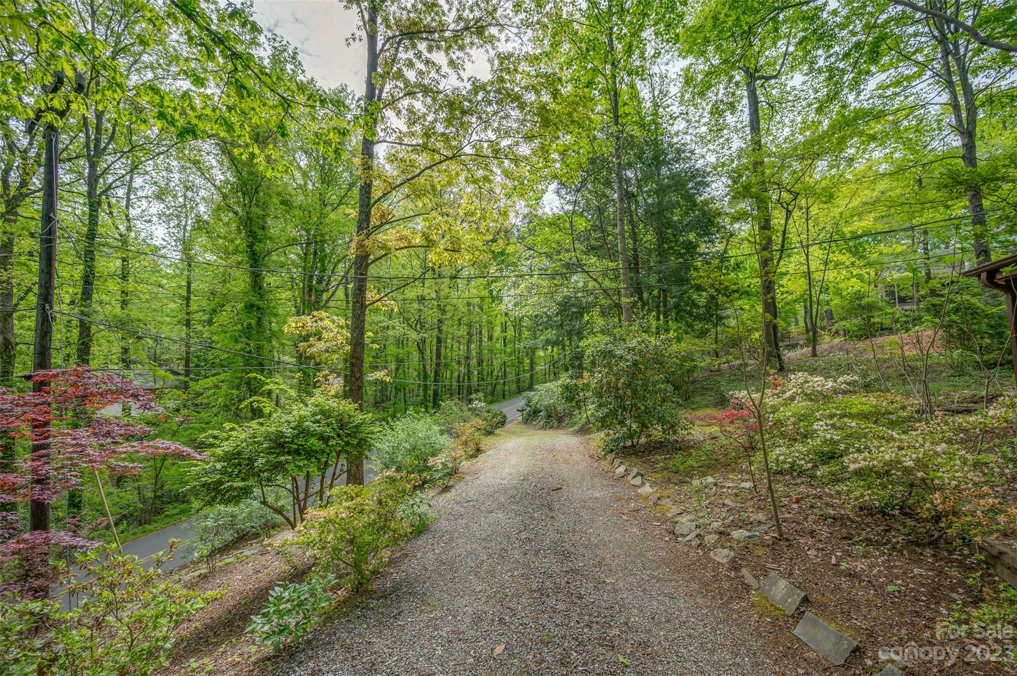 750 Braewick Road Tryon, NC 28782 - Photo 46 of 48