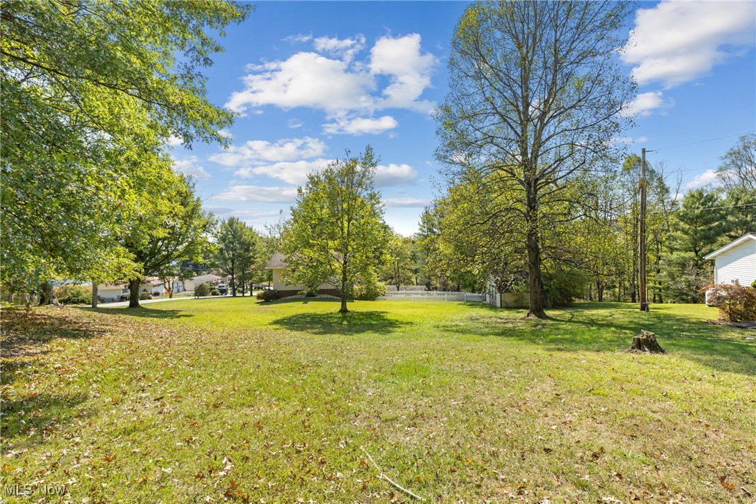 59648 Broadview Road Shadyside, OH 43947 - Photo 39 of 47