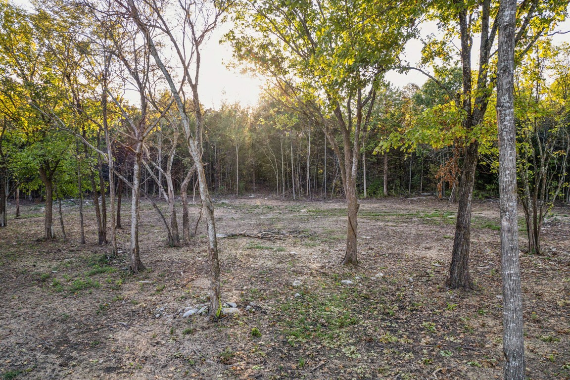 3 Atkinson Road Lebanon, TN 37090 - Photo 1 of 16