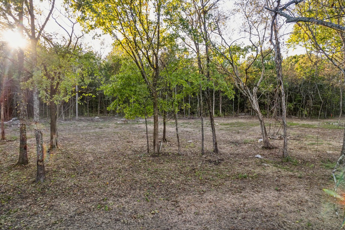 3 Atkinson Road Lebanon, TN 37090 - Photo 2 of 16 a view of a trees in a park
