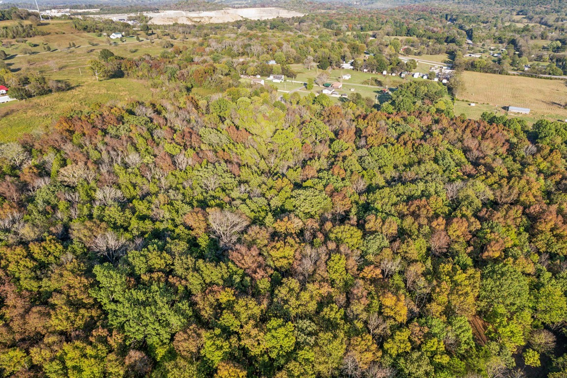 3 Atkinson Road Lebanon, TN 37090 - Photo 7 of 16 a view of city and mountain