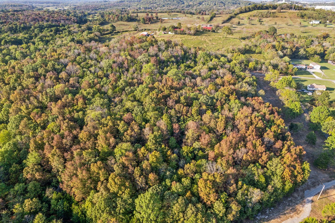 3 Atkinson Road Lebanon, TN 37090 - Photo 8 of 16