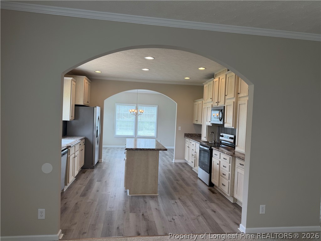 4107 Twisted Hickory Road Elizabethtown, NC 28337 - Photo 9 of 35
