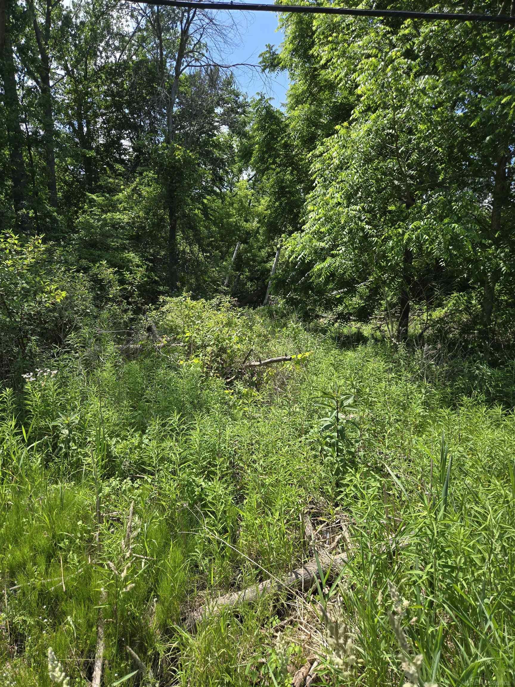 Tbd Lakeshore Road Lexington, MI 48450 - Photo 12 of 13
