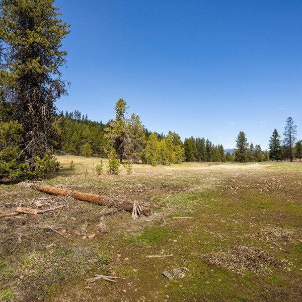 Lot 31 To Be Determined, Unit 31 McCall, ID 83638 - Photo 1 of 2 Main View