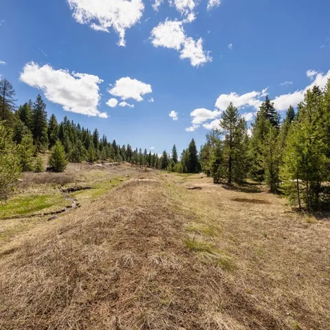 $1,000,000 | Lot 31 To Be Determined, Unit 31, McCall, ID 83638