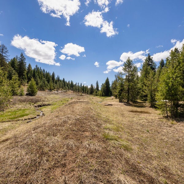 Lot 31 To Be Determined, Unit 31 McCall, ID 83638 - Photo 2 of 2