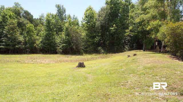 0 West Railroad Street Castleberry, AL 36432 - Photo 10 of 41