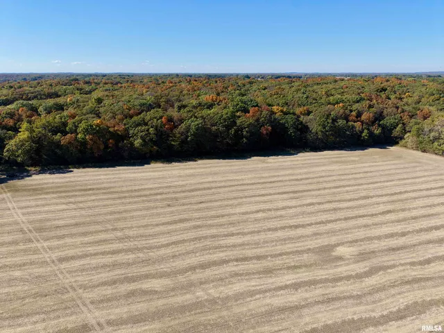 $650,000 | 0 3100 East Avenue, Cowden, IL 62422