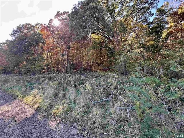 $650,000 | 0 3100 East Avenue, Cowden, IL 62422