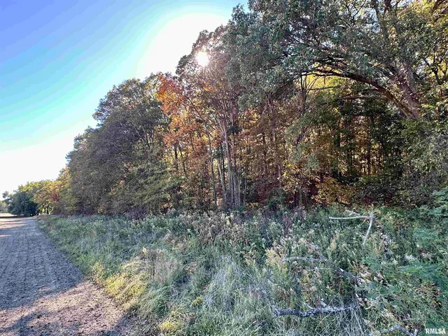 $650,000 | 0 3100 East Avenue, Cowden, IL 62422