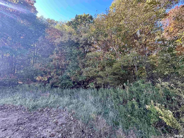 $650,000 | 0 3100 East Avenue, Cowden, IL 62422