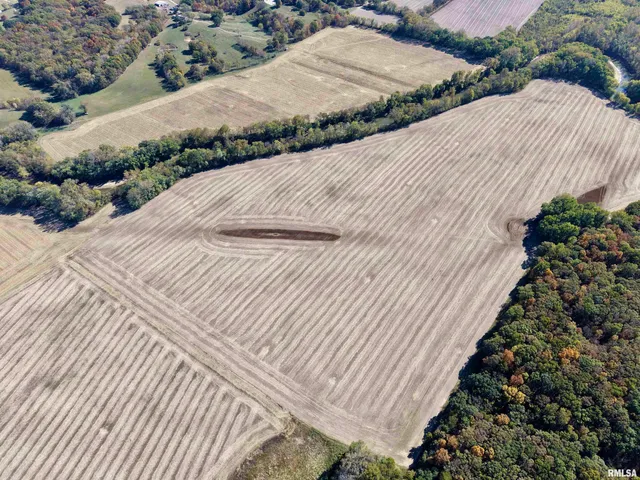 $650,000 | 0 3100 East Avenue, Cowden, IL 62422