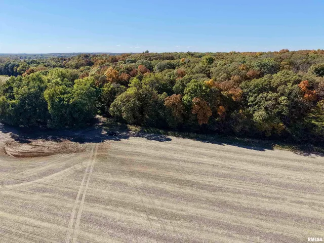 $650,000 | 0 3100 East Avenue, Cowden, IL 62422